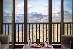 Grand Forest Metsovo