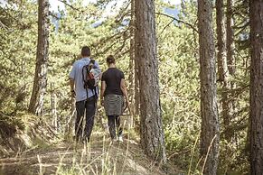 Grand Forest Metsovo