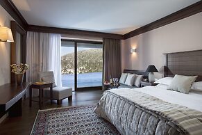 Grand Forest Metsovo