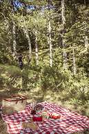 Grand Forest Metsovo