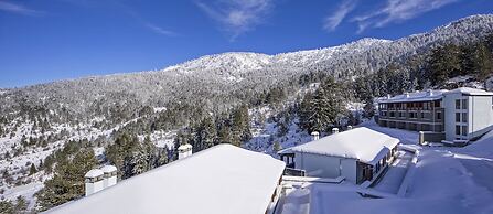 Grand Forest Metsovo