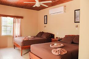 Tropical Paradise Hotel