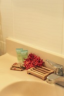 Tropical Paradise Hotel