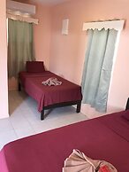 Tropical Paradise Hotel