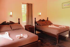 Tropical Paradise Hotel