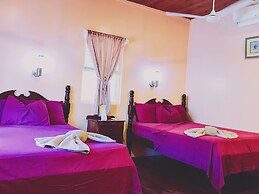 Tropical Paradise Hotel