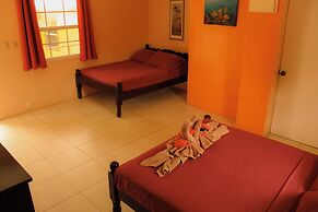 Tropical Paradise Hotel