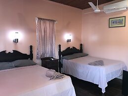 Tropical Paradise Hotel