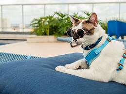 Ibis Styles Belém Hangar