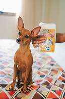 Soft Win Hotel São Luis