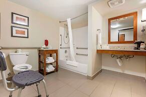 Comfort Suites Redding - Shasta Lake