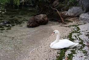 Residence Vecchio Porto Excelsior