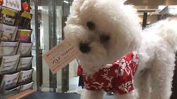 BAN HOTEL TSUKIJI GINZA