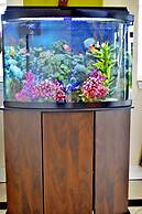 Scottish Inns and Suites Alvin