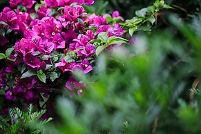 China Old Story Inns Dali Ancient Town