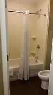 Staybridge Suites Jacksonville - Camp Lejeune Area by IHG
