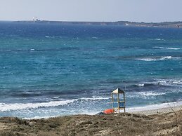 la corte degli ulivi