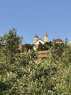 la corte degli ulivi