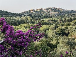 la corte degli ulivi