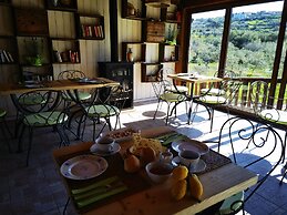 la corte degli ulivi