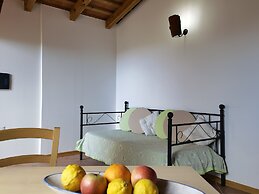 la corte degli ulivi