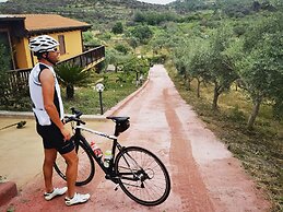 la corte degli ulivi