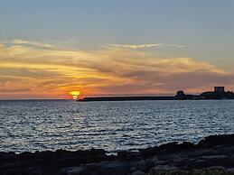 la corte degli ulivi