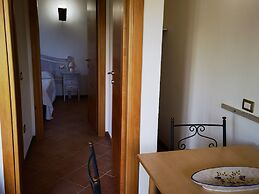 la corte degli ulivi