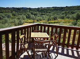 la corte degli ulivi