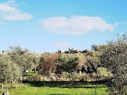 la corte degli ulivi