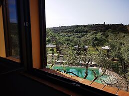 la corte degli ulivi