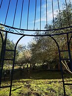 la corte degli ulivi