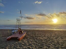 la corte degli ulivi