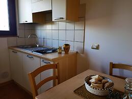 la corte degli ulivi