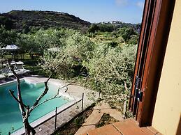 la corte degli ulivi