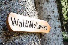 Torghele's Wald & Fluh