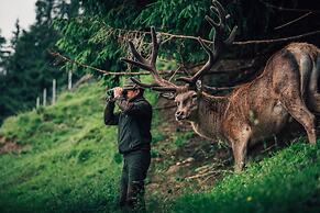 Torghele's Wald & Fluh
