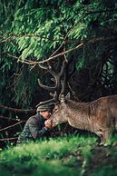 Torghele's Wald & Fluh