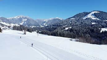 Torghele's Wald & Fluh