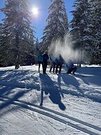 Torghele's Wald & Fluh