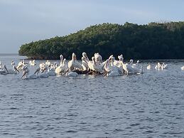 Crystal River Lullaby B&B