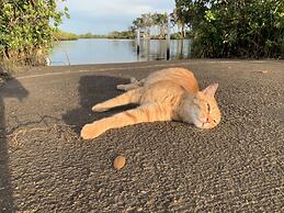 Crystal River Lullaby B&B