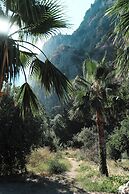 Butterfly Valley Beach Glamping