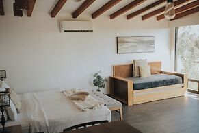 Oasis 444
