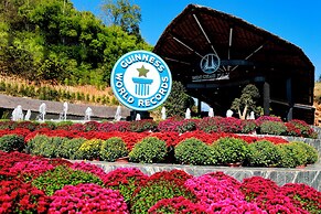 Moc Chau Island - Bach Long Glass Bridge