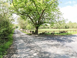 Yew Tree House