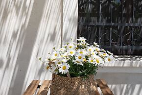 Il Fico nel Pozzo in Fossacesia