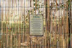 Il Fico nel Pozzo in Fossacesia