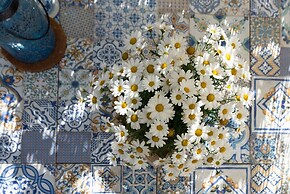 Il Fico nel Pozzo in Fossacesia