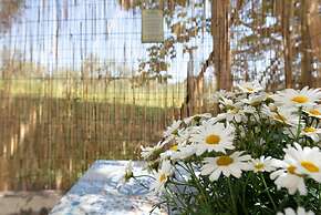 Il Fico nel Pozzo in Fossacesia